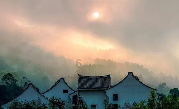 动物帮帮忙保卫家园